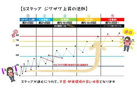 そあら鍼灸院で妊娠しやすくなる身体づくりのステップを説明した図